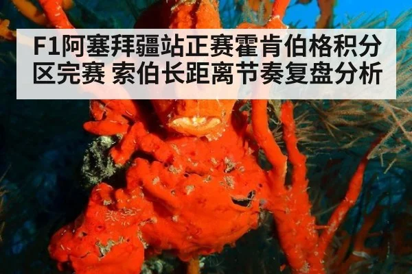 F1阿塞拜疆站正赛霍肯伯格积分区完赛 索伯长距离节奏复盘分析